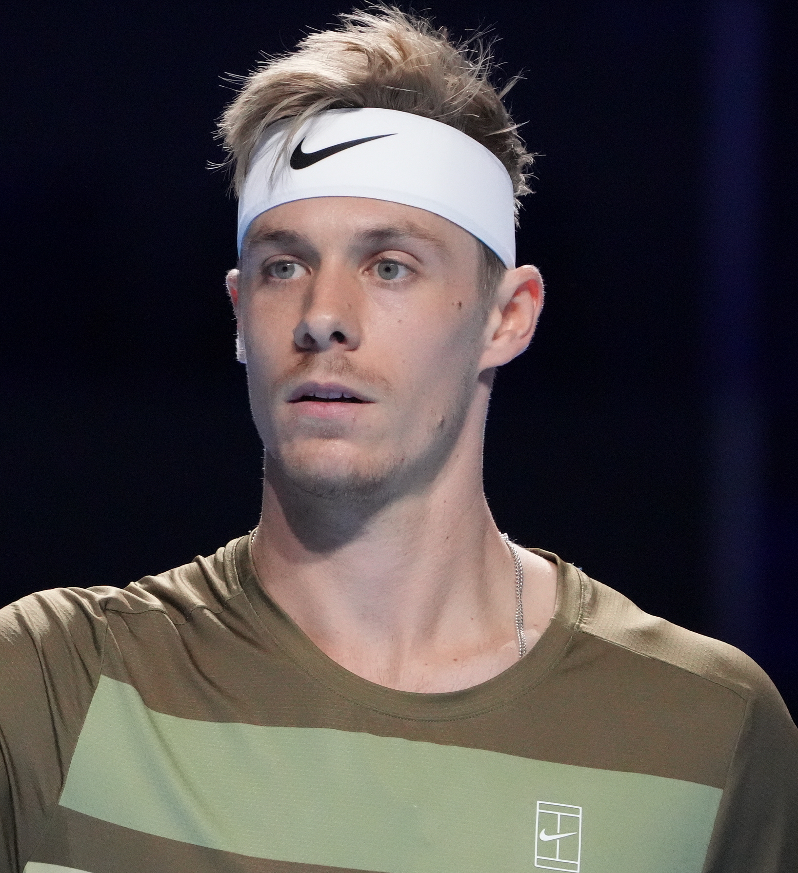 D. Shapovalov logo